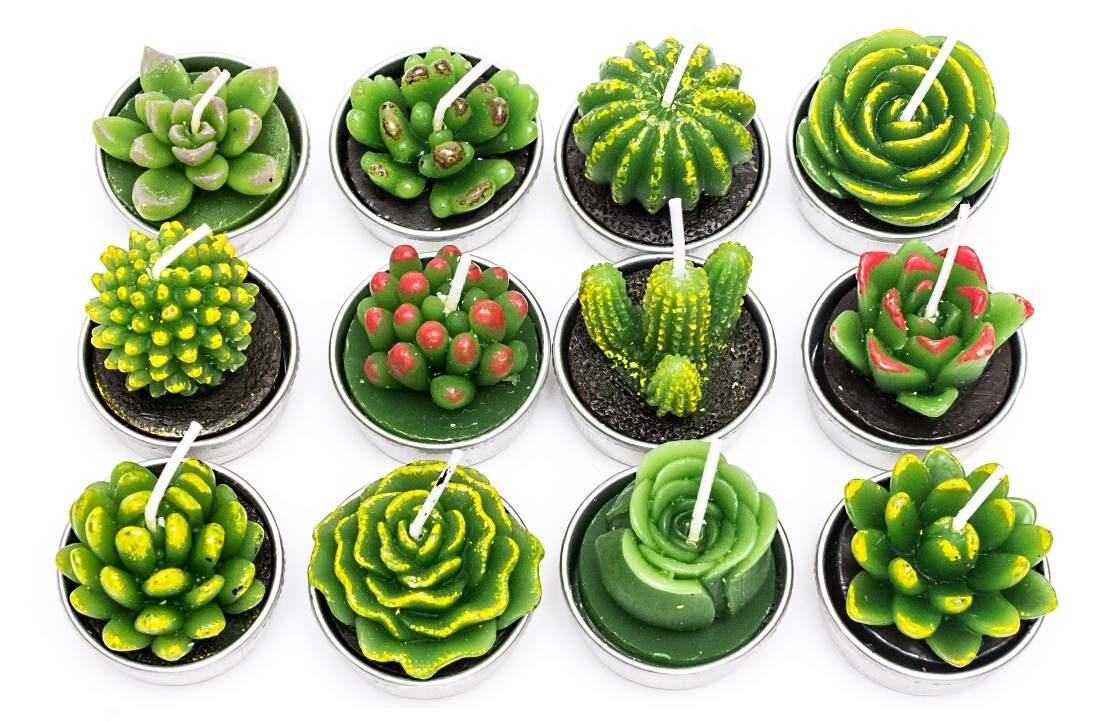 Simulated Succulent Candle Aromatherapy