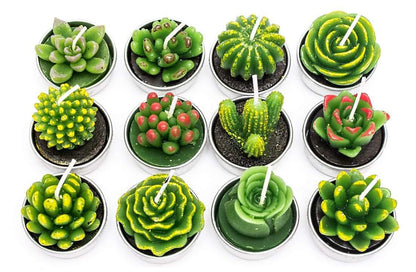 Simulated Succulent Candle Aromatherapy