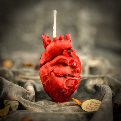 Beeswax Anatomical Heart Spell Candle - Love & Emotional Healing Magic