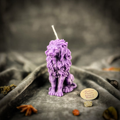 Proud Lion Candle Spell Kit - Courage & Leadership Magic