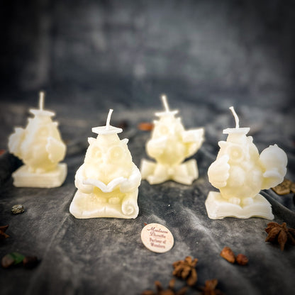 School of Owls Candle Spell Kit - Academic Success & Wisdom