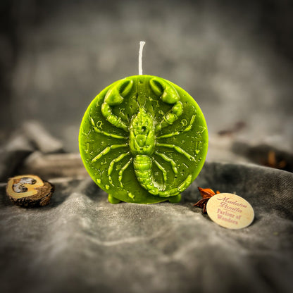 Beeswax Scorpio Scorpion Zodiac Spell Candle - Transformation, Power & Intuition
