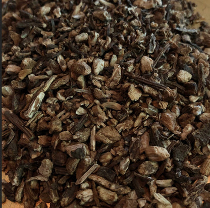Angelica Root