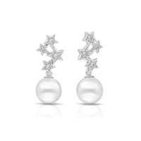 Night Sky Earrings