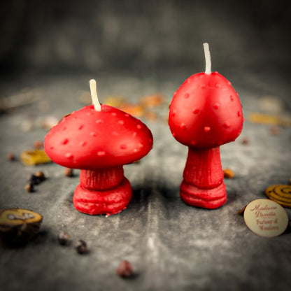 Mystical Mushroom Duo Candle Spell Kit - Forest Wisdom & Shadow Work Magic