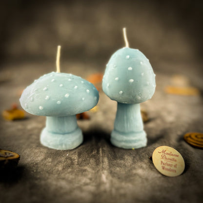 Mystical Mushroom Duo Candle Spell Kit - Forest Wisdom & Shadow Work Magic